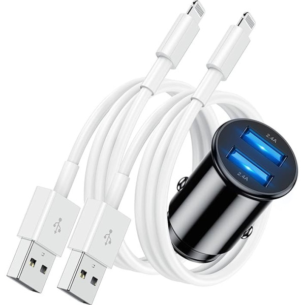 Cigarečių žiebtuvėlio USB įkroviklis su 