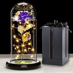„Galaxy Rose“ gėlių dovana, „Infinity Rose“ stikliniame kupole, LED pasakų lemputės ant krištolinės rožės, unikali dovana moterims, Kalėdos, vestuvės, Valentino diena, Motinos diena, jubiliejus ir gimtadienis
