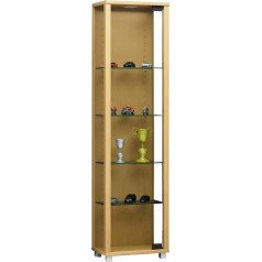 VCM 911781 Stiklinė vitrina Stiklinė vitrina Stiklinė vitrina Stiklinė vitrina Lentyna Vitrina be apšvietimo Bukas Edana Mini