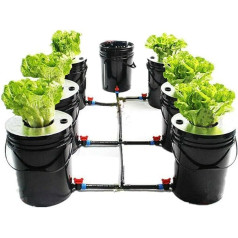 czyuRachel Hydroponics Dwc Auginimo sistemos rinkinys 20L x 7 kibirų uždarų patalpų hidroponinė dauginimo sistema uždarų patalpų hidroponinis hidroponinis rinkinys namams uždarų patalpų hidroponinė dauginimo sistema