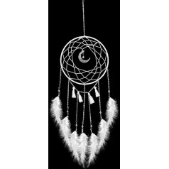 Fatiya Moonlight White DIY Dream Catcher Kit, Dream Catcher mergaitėms berniukams, rankų darbo pynimo Dream Catcher Making Kit, kabantis ornamentas dekoracija su Tassel juostelės natūraliomis plunksnomis (balta)