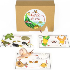 PACHA ECHECS® Gyvūnų gyvenimo ciklo žaidimas - Montessori mokymosi medžiaga, skirta vystymuisi | Mokymosi priemonė | Tikroviški skaičiai | Augimo simuliacija | Anatomija | Biologija