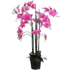 MICA Decorations Phalaenopsis - Dirbtinis augalas - Violetinė - Aukštis 117 cm