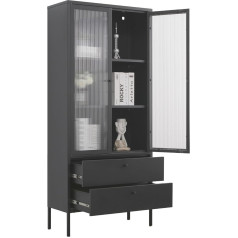Mein-Regal Paryžiaus vitrinos spinta Juoda pramoninio stiliaus svetainės baldai Studijos Metalinė vitrina Stalčiai Durys Lentynos L x Š x V 80 x 35 x 180 cm (juoda)