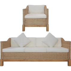 Ciadaz 2 dalių sofos komplektas su pagalvėlėmis, sofa lova, sofa, sofa, sofa miegamasis, sofos komplektas, paauglio kambarys, natūralus rotango audinys