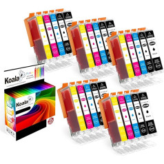 Koala 25 spausdintuvo kasetės suderinamos su Canon PGI-550XL CLI-551XL PGI-550 CLI-551, skirtos Canon Pixma IX6850 IP7250 IP8750 MG5450 MG5550 MG6350 MG6450 MG7150 MX725 MX925 5 (5BK5B/5C/5M/5Y)