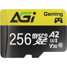 AGI TF138 256GB Micro SDXC kortelė su SD adapteriu 10 klasės / UHS 3