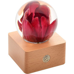 Dr. Pets Miss LI Garden Forever Red Tulip Crystal Ball, žmona draugė Moterys, jubiliejus, Motinos diena, gimtadienis, Valentino diena, namų dekoras (14th Red Tulip)