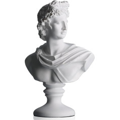 DOVDOV Dovydo statulos biustas, graikų Dovydo statulos biusto statula ir skulptūra, modernus namų dekoras, puikiai tinka svetainei, biurui, knygų spintai, įėjimui į namus, mokymo kambariui užpildyti