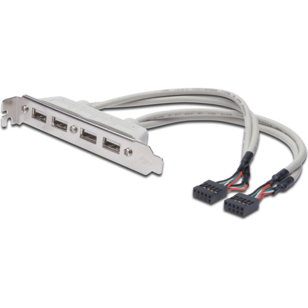 Kabelio usb 2.0 greitaveikos trasavimo tipas 2xidc (5pin)/4xusb a m/ž pilka 0.25m