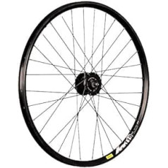 Taylor Wheels 26 colių dviračio priekinis ratas XM119D su stebulės dinamo Alfine Disc juodas