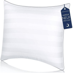 COZSINOOR pagalvėlė 65 x 65 cm