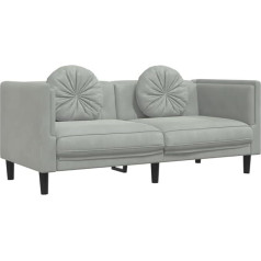 Vidaxl Sofa, minkšta sofa su pagalvėlėmis, dvivietė, dvivietė svetainės sofa, svetainės sofa, sofa svetainėje, moderni, šviesiai pilkas aksomas