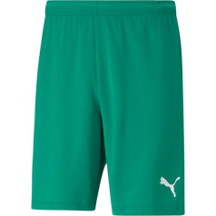 Šortai teamRISE Short M 704942 05 / L