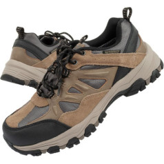 Batai Enago M 66275/TAN / 39.5