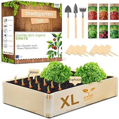 Indoor Herb Garden Gift XL PYEF CRAFTS – Daržovių auginimo rinkinys Augalų pilnas rinkinys – Mini sodo dauginimo rinkinys ir sėklos Daržovės – Augalų sodo auginimo rinkinys (XL)