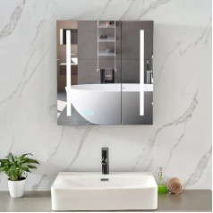 Plumbsys LED veidrodžių spintelė Vonios veidrodžių spintelė Aliuminis su apšvietimu Šviesos veidrodžių spintelė Anti-Fog 60 x 65 cm
