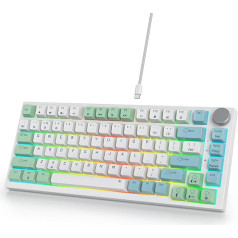 SOLIDEE laidinė mechaninė žaidimų klaviatūra 75 %, keičiamos mechaninės klaviatūros tarpinės, RGB apšvietimas, QWERTY 82 klavišų TKL žaidimų klaviatūra, NKRO klaviatūra su sukamąja rankenėle (82 mėtų)