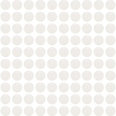 QUARKZMAN PP plastikiniai guolių rutuliukai 3/16 colio 4,763 mm kieto plastiko rutuliukai G1 tikslūs mini rutuliukai 100 vnt. pakuotėje