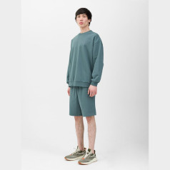 Šortai 4F M 4FWSS24TSHOM342 44S / XXL