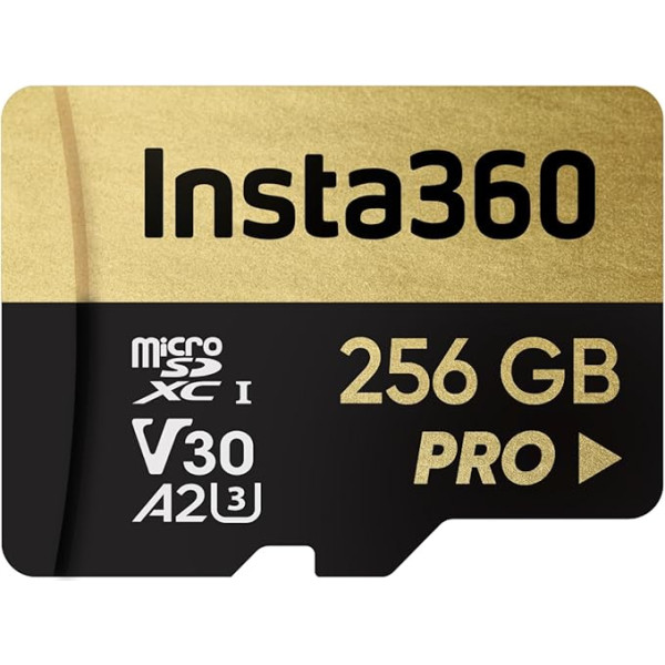Insta360 sd kortelė 256gb