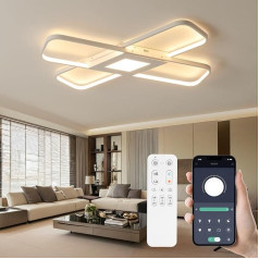 OTREN LED lubų šviestuvas Svetainės lubų šviestuvas, modernus LED lubų šviestuvas, reguliuojamo apšvietimo, 3000 K - 6500 K, skirtas svetainei, miegamajam, prieškambariui, biurui ir balkonui, 66 cm
