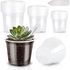 PUYTTENPP 1,9 cm Pflanztopf, 30 Stück, skaidrios, drenažinės tūtelės, Kunststofftöpfe zum Pflanzen von Gemüse, Blumen, Setzlingen