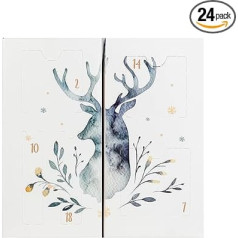Akcentra Grožio advento kalendorius su 24 makiažo ir kosmetikos produktais, moterų makiažo advento kalendorius su lūpų dažais, blakstienomis, nagų laku, akių šešėliais, aplikatoriais ir daug daugiau, Kalėdų grožis