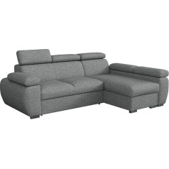 Mirjan24 Bostono mini kampinė sofa su miego funkcija ir lovos dėže, minkštas kampas su reguliuojamais galvos atlošais, L formos sofa, minkštų baldų komplektas, gyvenamasis kraštovaizdis (Aragon 93, šonas: dešinysis, 2r+LC)