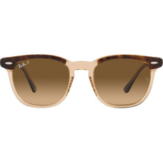 Ray-Ban akiniai nuo saulės HAWKEYE RB 2298 Havana Transparent Brown/Brown Shaded 50/21/145 Unisex, Havana On Transparent Brown (1292 m²)