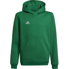 Džemperis ENTRADA 22 Hoody Y HI2143 / žalias / 140 cm