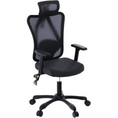 Ergonomiška biuro kėdė oniksas