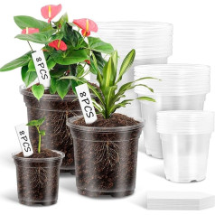 COOCTECH Transparente Pflanztöpfe für Zimmerpflanzen, 11,2 cm, 1,2 cm, 1,2 cm, 1,2 cm, 1,2 cm, 1,2 cm, 1,2 cm, 1,2 cm, 1,2 cm, 1,2 cm, 1,2 cm, 1,2 cm, 15,2 cm, skaidrus, su 21 Pflanzenetiketten