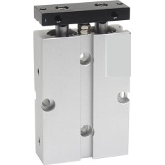 CALSUP Pneumatik-Luftzylinder, TN16X100S Twin-Rod-Zylinder Tn Doppelte Bohrungsgröße 16mm Hub 10-200 mm mit Magnetluftzylinder TN16X10S TDA16X30S TN16X50S für automatische Ausrüstung(TN16X80S)