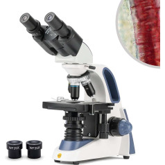 Swift SW380B 40X-2500X didinimas, virimo puodo galvutė, moksliniams tyrimams skirtas ferokulinis sudėtinis laboratorinis mikroskopas su plataus lauko 10X ir 25X okuliarais, mechaniniu stoveliu, Abbe kondensatoriumi, itin tiksliu fokusavimu