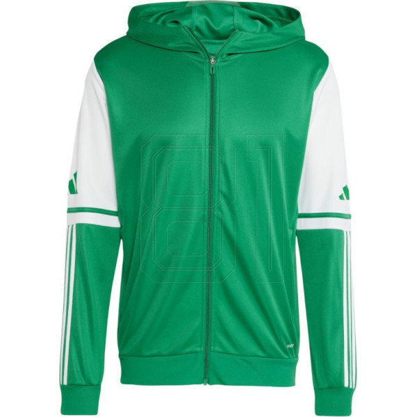 Džemperis Squadra 25 Hoody M JP3164 / L