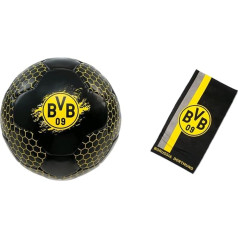 BVB Futbolas