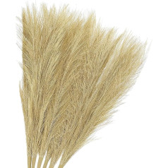 GLOKUUCA Pampaso žolė - 6 vnt. dirbtinis vazų užpildas, tinka vestuvėms, dekoravimui - medžiaginė dirbtinė žolė - (45 cm, aukso spalvos)