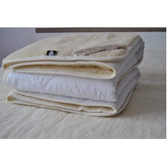 Merino Wool 
