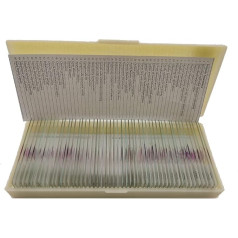 50 vnt./rinkinys Medicinos mokykla Mokymas Žmogaus mikroskopas Patologiniai paruošti stikliukai Mikroskopas Paruošti tipiniai histologiniai stikliukai medicinos studijų mokymui