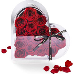 DEESOSPRO® konservuotų rožių dovanos moterims, Motinos dienos dovana, amžinosios rožės širdies formos dovana Valentino dienai, gimtadienio dovana mergaitėms, žmonai, draugei