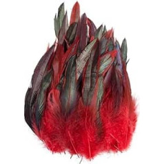 Raibertin 5-7 colių natūralaus balno kalno gaidžio fazano plunksna, skirta amatų kostiumams Natūralus Coque Rooster Hack Feather DIY papuošalų kepurės Dream Catcher Pack of 100 (Red)