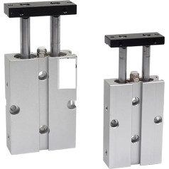 Pneumatinis oro cilindras, dviejų strypų oro cilindrai dvigubas dvigubas su magnetiniu oro pneumatiniu cilindru TN10X10S TN16X20S TN20X30S TN25X50S 60S TN32X25S TN40 TN50 automatinei įrangai (spalva : TN25, S