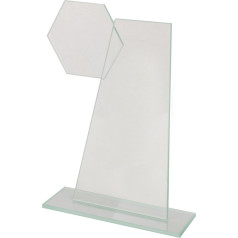 Stiklinis trofėjus / 25 cm