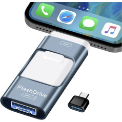256G USB atmintinė 