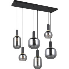 Trio Leuchten Diva 319800632 Pakabinamas šviestuvas Matinis juodas metalas Stiklas Chromas Išgarintas Be 6x E27