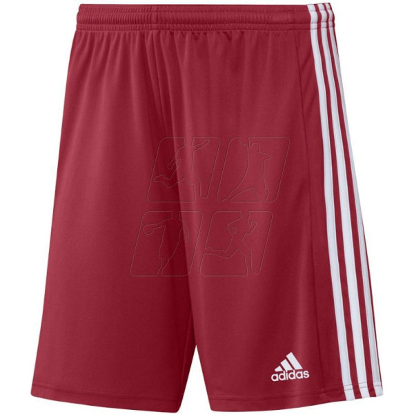 Squadra 21 Short M GN5771 / XS šortai