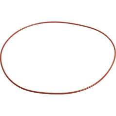 raypack 006713 F O-Ring Dichtung 2/Pkg