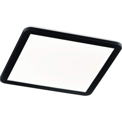 Reality Leuchten Camillus R62932032 LED lubų šviestuvas Matinis juodas plastikinis akrilinis baltas Į komplektą įeina 24 W LED