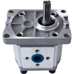 Hidraulinis krumpliaratinis siurblys Runding Hydraulische Zahnradpumpe CBN/CBT/CBW304 306 310 314 316 320 325 Kleine Hochdruck-Ölpumpe(CBT-CBN-F320(20MPA),Form)